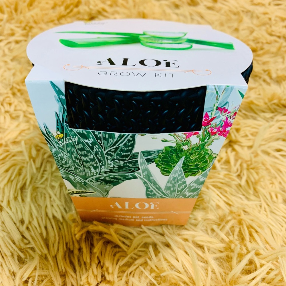 Aloe Starter Grow Kit & Black Container plant decor